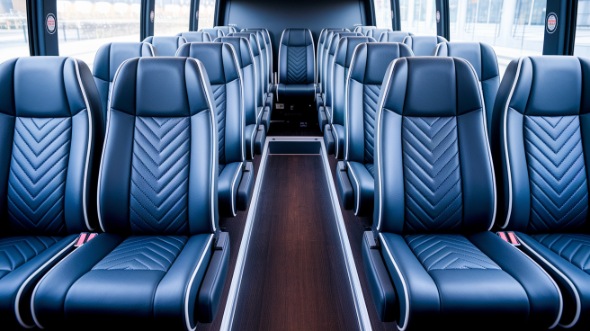 20 passenger minibus rental freehold