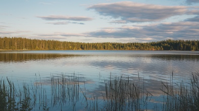 lake carasaljo