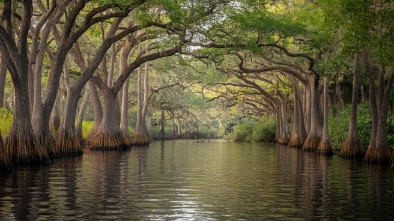 turkey swamp park
